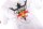 KINI Red Bull Path Tee - White -